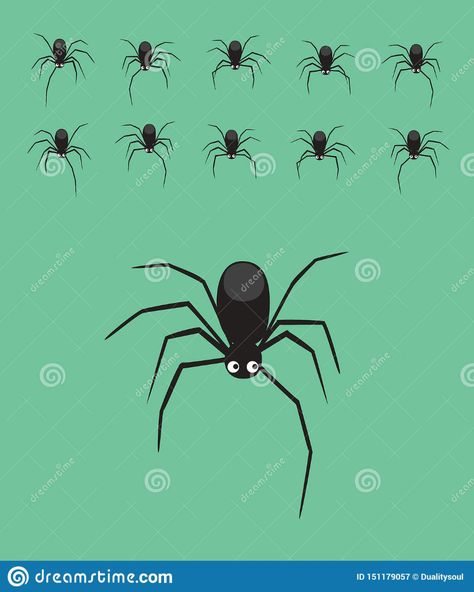 Jumping Spider Drawing Simple, Spider Walk Cycle, Spider Animation, Jumping Spider Top View, Fear Of Spiders Drawing, Cat Running Animation Frames, Cartoon Spider, Spider Cartoon, Animal Animation