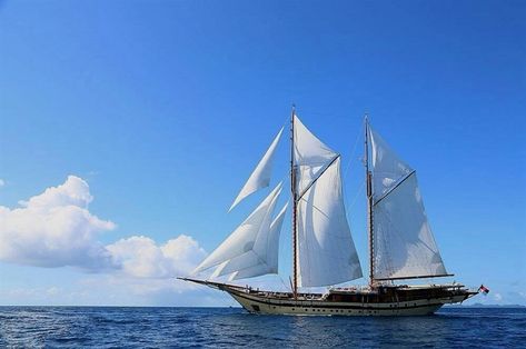 What is there not to love? Sails risen, winds blowing comfortably and both from port and starboard side, the inviting blue waters that embrace the thousands of Indonesian islands… . . 📷 sent to us by @asiantrailsltd #sailingyacht #sailingphotography #smoothsailing #sailingstagram #sailinglifestyle #sailingaway #sailingvessel #sailingday #sailingadventure #sailingboats Sailing Photography, Luxury Sailing Yachts, Sailing Day, Small Yachts, Traditional Boats, Private Yacht, Sailing Vessel, Sailing Adventures, Yacht Boat