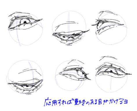 Eye Reference, الفن الرقمي, Eye Drawing Tutorials, Anatomy Sketches, Body Reference Drawing, Drawing Expressions, Anime Eye Drawing, Digital Painting Tutorials, Anime Drawings Tutorials