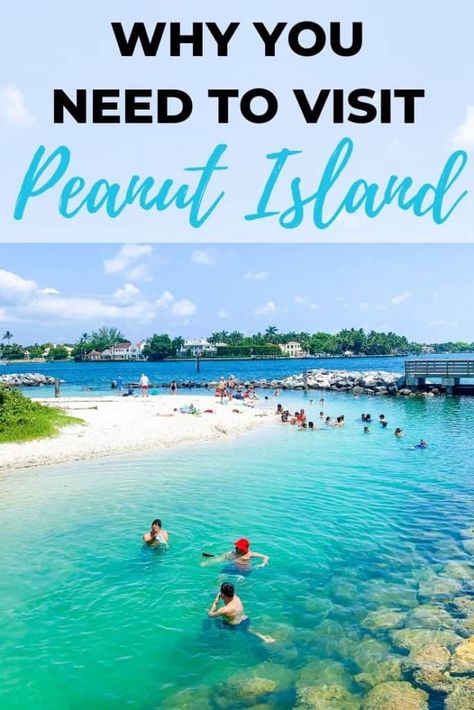 5 Reasons To Visit Peanut Island For Sunday Funday in Palm Beach Riviera Beach Florida, Peanut Island, Summer Beach Pictures, Romantic Resorts, Riviera Beach, Florida Trip, Koh Chang, Beach Pink, West Palm Beach Florida