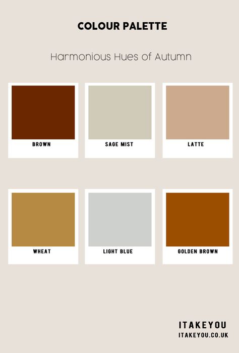 Autumn Colour Scheme, Autumn Colour Trends 2023, Fall Color Palette, autumn colours, Autumn Colours 2023, soft autumn colour palette Autumn Aesthetic Colour Palette, Autumnal Colour Palette Interior, Stylecraft Autumn Colours, Colour Palette Autumn, Autumn Colour Palette Makeup, Colours 2023, Color Palette Autumn, Colour Scheme Ideas, Collor Pallete Autumn