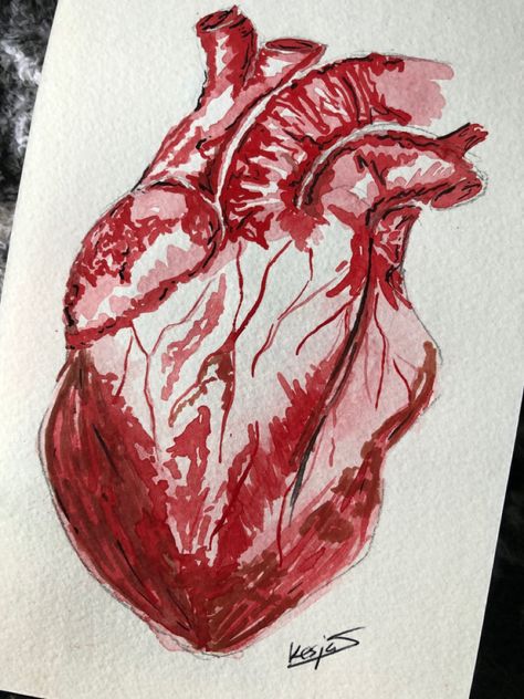 Watercolour Heart, Watercolour Abstract, Heart Anatomy, Gcse Art Sketchbook, Blood Art, Heart Drawing, Watercolor Heart, Ink Wash, Gcse Art