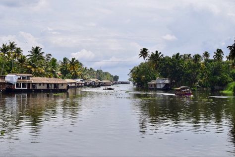 Boat Travel, India Kerala, Family Trees, Boat Ride, Portrait Inspiration, House Boat, Kerala, Tourism, Trees