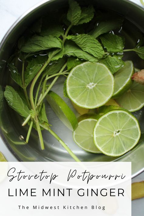 Tropical Simmer Pot, Intention Simmer Pot Recipes, Mint Simmer Pot, Citrus Simmer Pot, Easy Simmer Pot, Summer Potpourri, Citrus Potpourri, House Scents, Clean House Smell