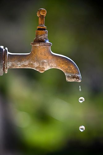 Foto Macro, Foto Top, Ivy House, Kunst Inspiration, Rain Water Collection, Down On The Farm, Foto Art, Water Droplets, Water Drops