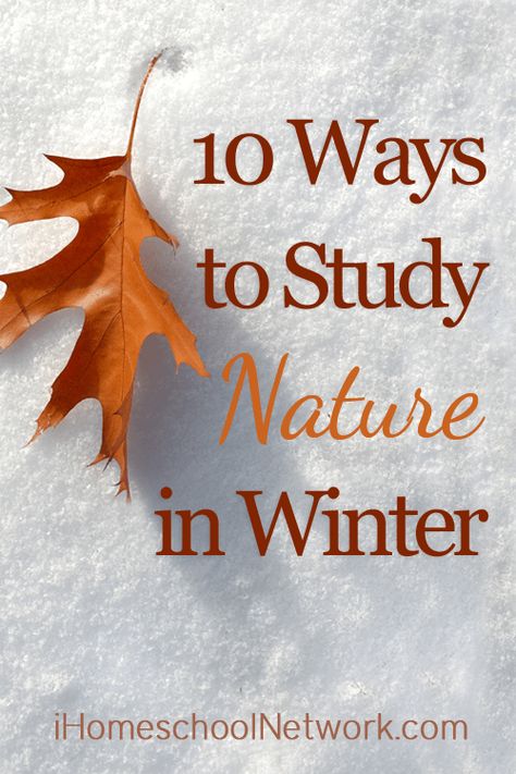 10 Ways to Study Nature in Winter • iHomeschool Network Nature In Winter, Ways To Study, Homeschool Nature Study, Forest School Activities, Nature Education, Nature School, Winter Activities For Kids, Outdoor Education, Winter Preschool