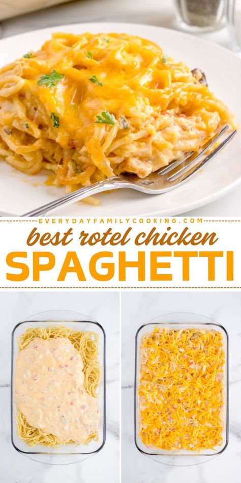 Discover the Best Rotel Chicken Spaghetti Recipe! This pasta dinner recipe is made with pantry ingredients like rotisserie chicken, cream of chicken soup, mushroom soup, Velveeta cheese, cheddar cheese, and Rotel tomatoes. Make the best comfort food recipe today and enjoy! Cheddar Chicken Spaghetti, Chicken Spaghetti Rotisserie, Spaghetti Noodles And Chicken Recipes, Small Batch Chicken Spaghetti, Rotel Chicken Recipes, Velveeta And Chicken Recipes, Chicken Spaghetti Cream Cheese, Simple Chicken Spaghetti Recipe, Best Chicken Tetrazzini Recipes