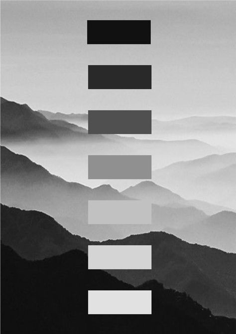 Gray Scale Color Pallete, Black White Pallet Color, Black And White Colour Board, Black And White Colour Scheme, Colour Palette Black, Black And Grey Color Palette, Black And White Colour Palette, Black And White Color Palette, Grey Inspiration