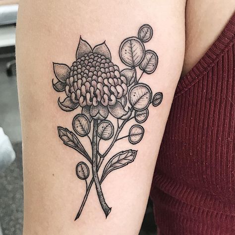 Waratah Tattoo, Ems Tattoos, Dollar Eucalyptus, Silver Dollar Eucalyptus, Wolf Tattoo, Tattoo Inspo, Silver Dollar, Geometric Tattoo, Flower Tattoo