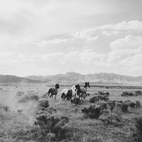 Straight from our Stars and Stripes Moodboard Black And White Cowboy Aesthetic, Cowboy Desktop Wallpaper, Black And White Western Aesthetic, Arias Bedroom, Farm Fits, Black And White Country, Horse Photoshoot Ideas, Western Photo Shoots, Coastal Girl