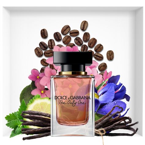 Dolce And Gabbana Perfume, Perfume Genius, Fragrance Tester, New Perfume, Perfume Recipes, Perfume Display, Luxury Perfumes, Perfumes For Women, First Perfume