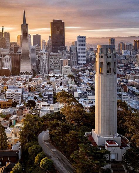 San Francisco Feelings on Instagram: “Morning glow at Coit Tower 📷 Ryan  @fitzsimonsphotography #sanfranciscofeelings #sanfrancisco #californiafeelings #california” Coit Tower San Francisco, Fairytale Photoshoot, San Francisco Photography, San Francisco Photos, Photoshoot Backdrops, City Scapes, City Skylines, California City, San Francisco City