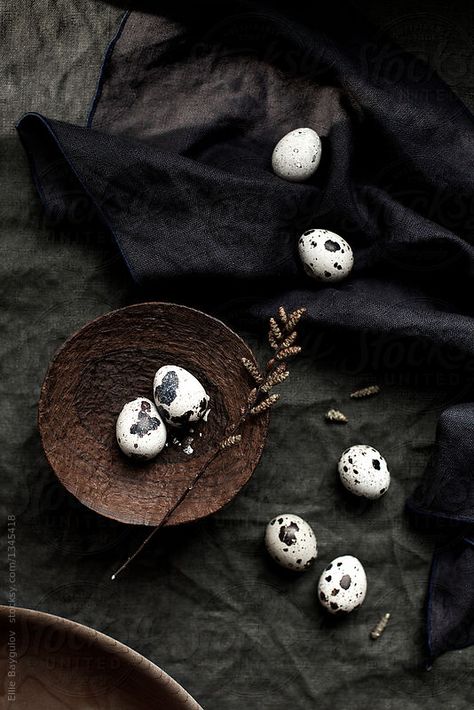 by Ellie Baygulov Egg Photography, Eggs Photography, Creative Egg Photography Ideas, Eggs Photography Creative, Quail Egg Photography, Egg Styles, Egg Photo, Dark Food Photography, Quail Eggs