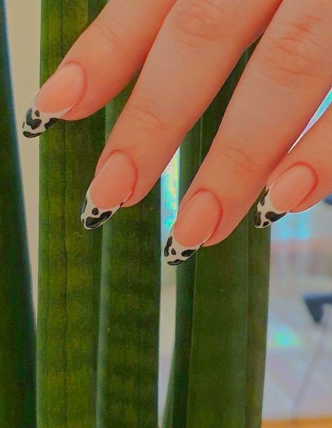 Cow Nails, Edgy Nails, Summer Acrylic Nails, Neutral Nails, Minimalist Nails, Dream Nails, Fire Nails, Funky Nails, Pretty Acrylic Nails