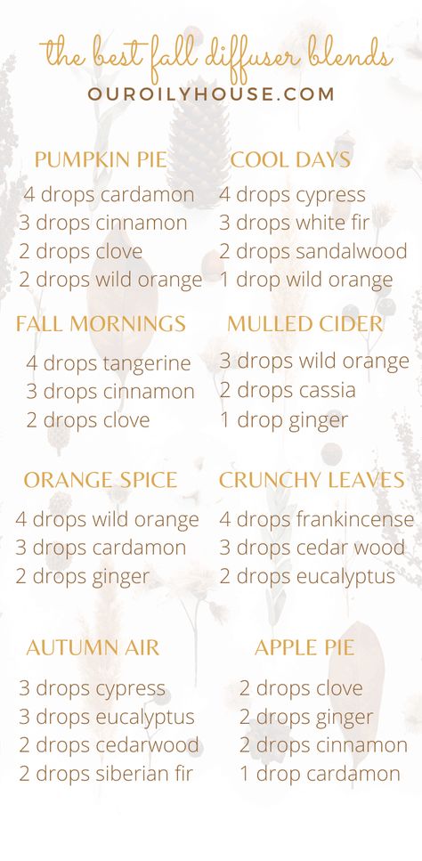 Diffuser Blends For Fall, Diffuser Scents, Fall Essential Oils, Fall Diffuser Blends, Essential Oil Diffuser Blends Recipes, Mulled Cider, Yl Oils, Clove Essential Oil, Ginger Essential Oil