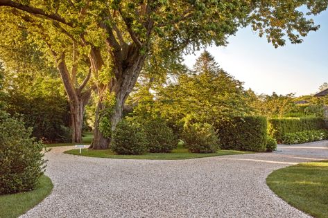 Large Driveway Design, Driveway Entry Ideas, Hollander Design, Beautiful Driveways, Garden Pathways, Tree Lined Driveway, Gravel Driveway, Farm Plans, Driveway Design