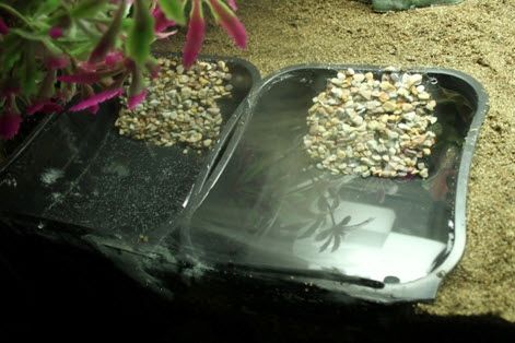 Painter's trays make great pools for hermit crabs because of the built-in ramp, but they still need a few modifications. DIY Hermit Crab Pools - PetDIYs.com Hermit Crab Enclosure, Crab Enclosure, Pool Ramp, Hermit Crab Homes, Hermit Crab Habitat, Crabby Patties, Hermit Crab Tank, Fiddler Crab, Turtle Habitat