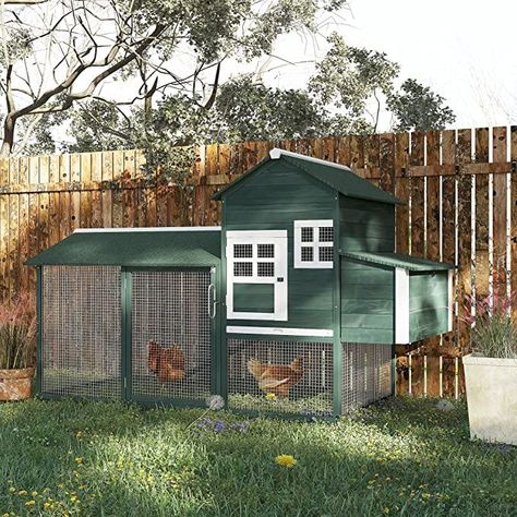 chickencoops chickencoop backyardchicken homesteading poultryhouse Screened Windows, Wooden Chicken Coop, Wooden Chicken, Chicken Pen, Poultry Cage, Chicken Coop Run, Backyard Poultry, Asphalt Roof, Backyard Chicken Coops