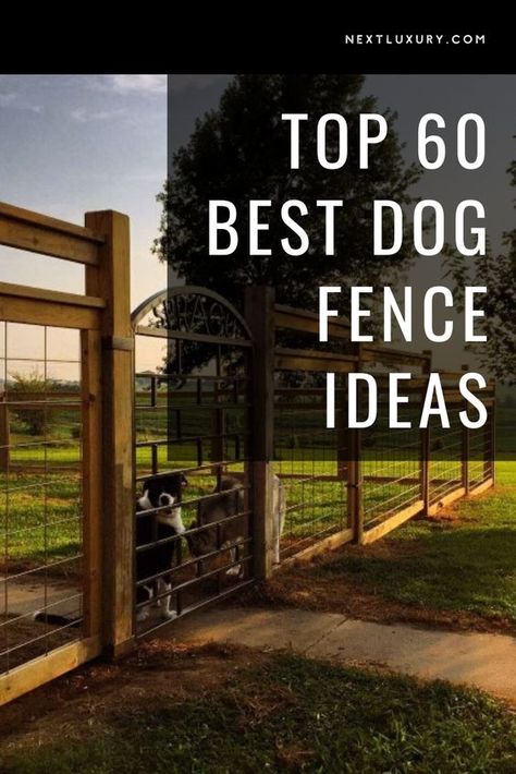 Fences To Keep Dogs In, Large Dog Runs Ideas Backyard, Enclosed Dog Run Ideas Backyard, Dog Run Side Yard Fence Ideas, Fenced In Dog Area Yards, Yard Fence Ideas Dogs, Dog Runs For Large Dogs, Best Dog Fence Ideas, Large Dog Fence Ideas