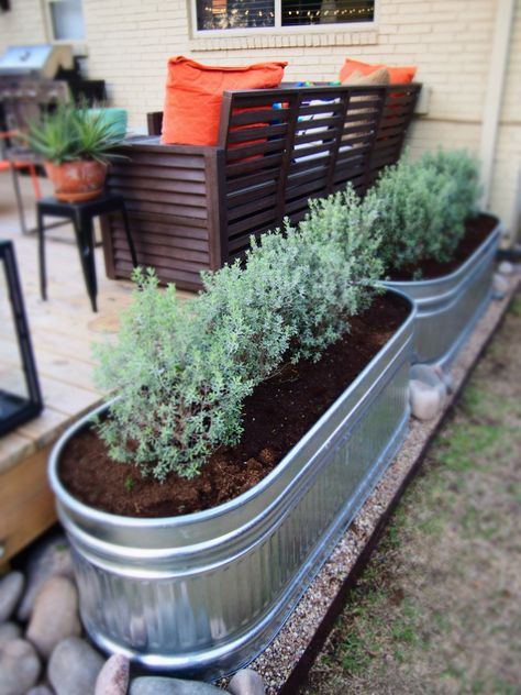 Stock Tank Gardening, Honey House, Horse Trough, Garden Troughs, Galvanized Planters, Landscape Inspiration, Trough Planters, Planter Design, Gardening Flowers