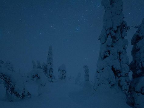 Polar night in Finland - Arctic Guesthouse & Igloos Antarctica At Night, Polar Night Aesthetic, Antarctica Night, Ice Cold Aesthetic, Arctic Aesthetic, North Aesthetic, Arctic Mountains, Forest Wizard, Life Aspirations