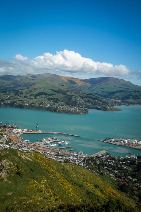 From the top of the Christchurch Gondola overlooking Littleton Harbour and the Banks Peninsula. Read the article for more photos of spectacular views from the top. #NewZealand #Christchurch #Gondola New Zealand Cities, Yellowstone Vacation, New Zealand Beach, Living In New Zealand, Globe Travel, New Zealand South Island, Christchurch New Zealand, Seascape Photography, Scenery Photography