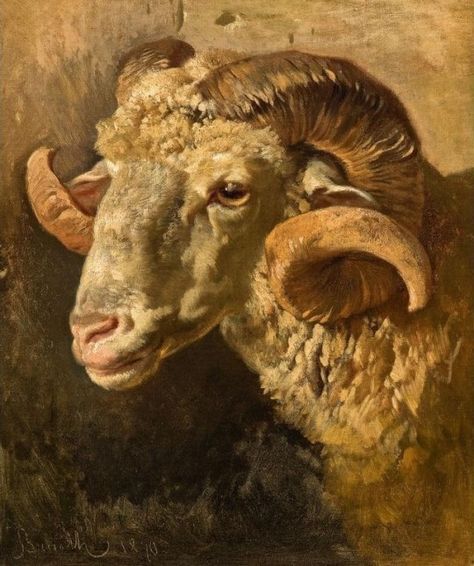 Lamb Art Reference, Sheep Oil Painting, Sheep Head Drawing, Sheep Reference, Surrealism Ideas, God Universe, Sheep Head, Meat Industry, Sheep Paintings