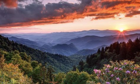 An amazing place to live - Blue Ridge Mountains, NC Blue Ridge Mountains Wallpaper, Blue Ridge Mountains Pictures, Fall Blue Ridge Mountains, Blue Ridge Mountains Wall Art, Blue Ridge Mountains Sunset, Blue Ridge Mountains, Painting Photos, Blue Ridge, Sunrise Sunset