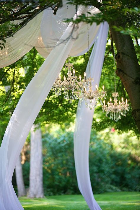 Wedding Under Trees, Outside Wedding Ceremonies, Tree Wedding Ceremony, Events Coordinator, Whimsical Wedding Theme, Wedding Draping, Backyard Wedding Decorations, Backyard Wedding Ceremony, Romantic Outdoor Wedding