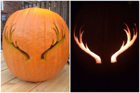 October 3, 2014 - carved antlers <3 Country Pumpkin Carving Ideas, Country Pumpkin Carving, Deer Pumpkin, Awesome Pumpkin Carvings, Outdoor Kids Play Area, Cute Pumpkin Carving, Halloween Pumpkin Carving Stencils, Carving Stencils, Pumpkin Carving Designs