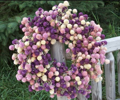 Amaranth Wreath, Cut Flower Farm, Globe Amaranth, Flower Girl Bouquet, Garden Flower Beds, Natural Wreath, Dried Flower Wreaths, Everlasting Flowers, Cut Flower Garden