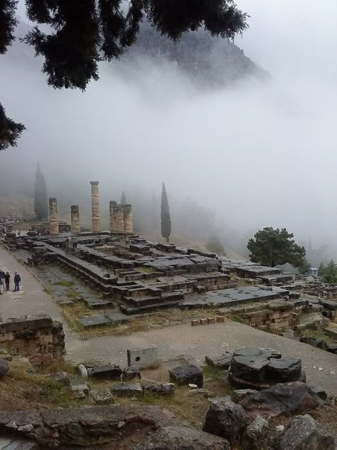 Delphi - the impressive archaelogical site, lost among the trees. Visit the the Oracle of Delphi for a unique, ancient experience! #Greece #Delphi #Terrabook #Greece #Delphi #Terrabook #Travel #GreeceTravel #GreecePhotografy #GreekPhotos #Traveling #Travelling #Holiday Delphi Greece Aesthetic, Oracle Of Delphi Aesthetic, Delphi Aesthetic, Ancient Greek Garden, Greece Delphi, The Oracle Of Delphi, Ancient Greece Aesthetic, Delphi Greece, Greece Landscape