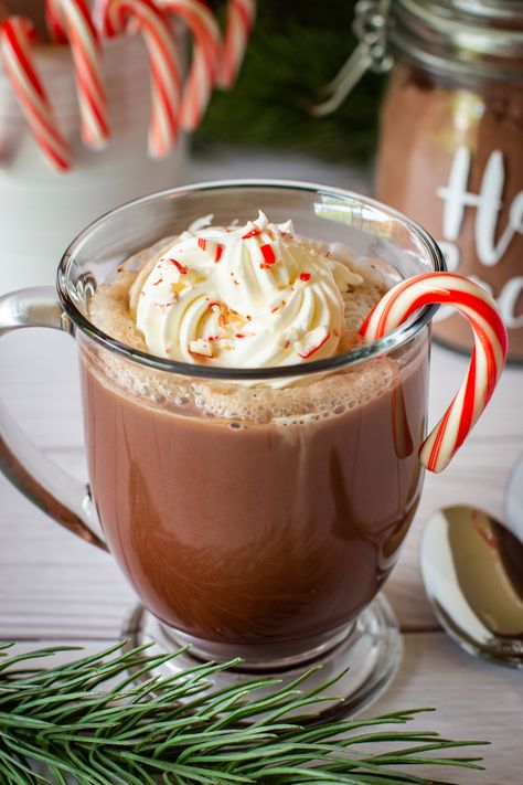 Hot Cocoa Mix Recipe, Christmas Brunch Recipes, French Vanilla Creamer, Peppermint Cocoa, Peppermint Hot Cocoa, Hot Cocoa Mix, Peppermint Hot Chocolate, Chocolate Powder, Hot Cocoa Mixes