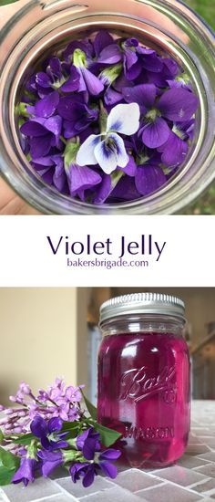 Violet Jelly, Edible Flowers Recipes, Canning Jam, Just Magic, Foraged Food, Jam And Jelly, Jelly Recipes, Home Canning, Vegetable Drinks