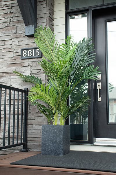 Artificial outdoor palm plant Garden Hedges, Tree Planters, Artificial Plants Outdoor, Palm Plant, Tall Planters, Potted Trees, Door Makeover, Home Decor Store, Pool Landscaping