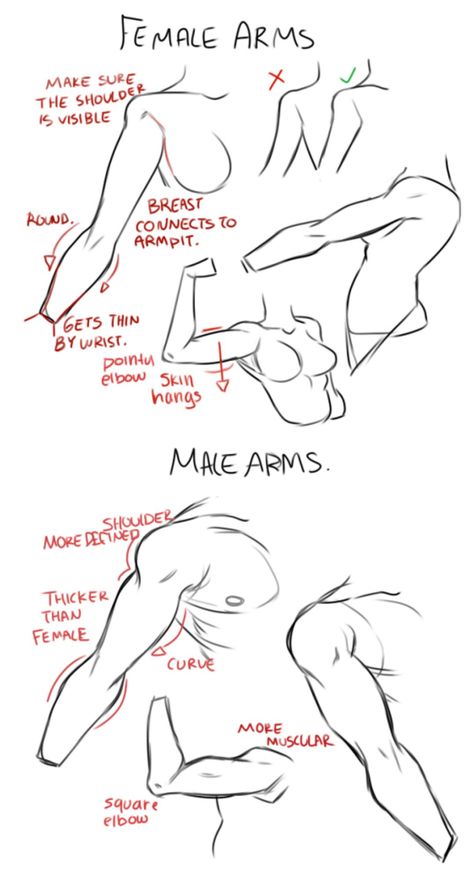 How To Draw Arms, Draw Arms, Výtvarné Reference, Human Anatomy Drawing, Body Drawing Tutorial, Human Anatomy Art, Anatomy For Artists, Art Tools Drawing, Sketches Tutorial