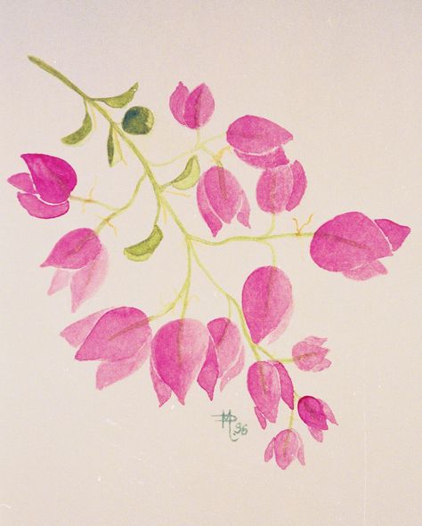 Buganvilla Watercolor, Bougainvillea Illustration, Bougainvillea Painting, Saree Painting Designs, Lotus Flower Art, Fabric Painting Techniques, Saree Painting, Hand Painted Fabric, Detailed Coloring Pages