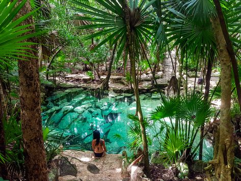 Ultimate List Of The Best Cenotes in Mexico Yucatan Peninsula Mexico, Mexican Cruise, Tulum Cenotes, Cenotes Yucatan, Cenotes Tulum, People Swimming, Mexico Honeymoon, Mexico Tulum, Colored Water