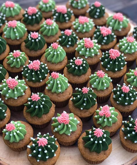 Cute Bday Cupcakes, Cupcake Decoration Birthday, Cool Cupcake Decorating Ideas, Western Party Cupcakes, Desert Theme Cupcakes, Diy Cactus Cupcakes, Taco Themed Cupcakes, Cute Mini Cupcakes, Cactus Food Ideas