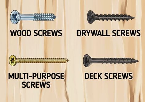 Wood Screws Types Of, Screw And Nail Storage Ideas, Screw Organization Ideas, Screws Organization Ideas, Building Organization, Screw Types, Types Of Screws, Construction Nails, Types Of Bolts