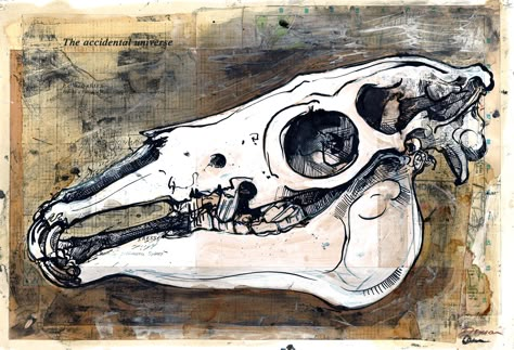 Duncan Cameron - Horse skull ink study www.duncancameron.org Duncan Cameron Artist Research, Duncan Cameron Art, Horse Skull Art, Tattoo Animal Skull, Observational Drawing Ideas, Animal Skull Drawing, Animal Skull Art, Duncan Cameron, Skull Study