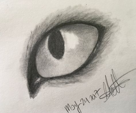 How to Draw a Cat Eye.: I have been practicing realistic cat eyes for a while now, and I'm no expert, but I thought I'd show you how I do it.What you'll need is simply any kind of pencil, or if you prefer pastels that is fine. Whatever kind of paper you have will work; f... Cat Eyes Drawing, Eye Pencil Drawing, Easy Cat Eye, Draw A Cat, Realistic Eye Drawing, Cats Art Drawing, Eye Pictures, Eye Sketch, Drawing Faces