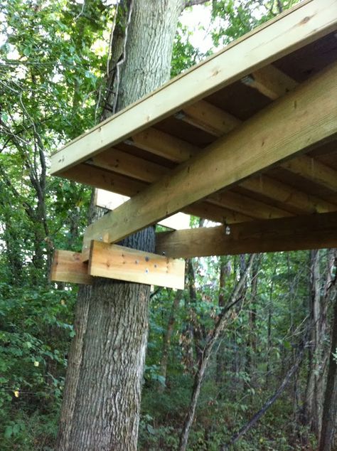 Platform Tree House, Platform Deck, Building A Treehouse, Tree House Plans, Tree Fort, Tree House Diy, Construction Ideas, Tree Swing, Building Tips