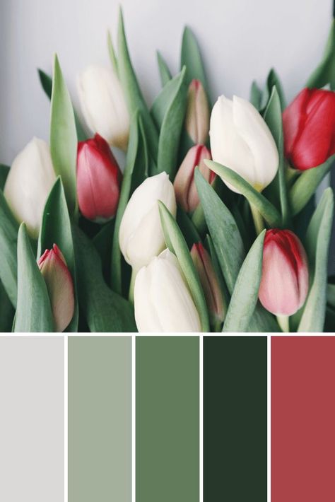 Green Palette Colour Schemes, Green Pallet, Spring Color Palette, Deco Rose, Color Schemes Colour Palettes, Green Palette, Green Colour Palette, Color Palate, Design Seeds