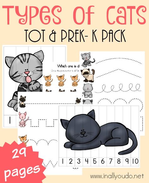 If you have a cat lover in your home, don't miss this ADORABLE Types of Cats Tot & PreK-K Pack perfect for your little learners. :: www.inallyoudo.net Preschool Pets Unit, Daycare Curriculum, Cats Clipart, Preschool Tracing, Cat With Blue Eyes, Pre K Activities, Types Of Cats, Preschool Lesson Plans, Emergent Readers