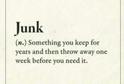 Definition of Junk Hip Dict, Word Meanings, Sarcastic Words, Definition Quotes, Made Up Words, Dictionary Words, Funny Words To Say, Unique Words Definitions, Funny Definition