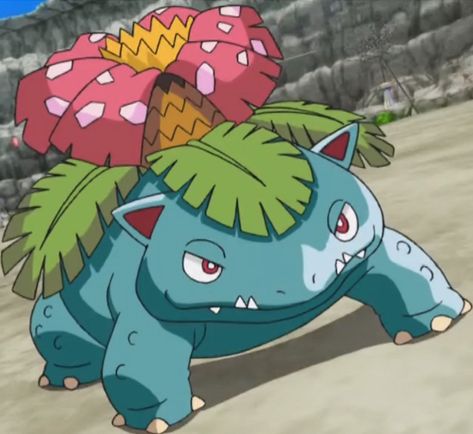 Venusaur All Pokemon Types, Venusaur Pokemon, Pokemon Venusaur, Bulbasaur Pokemon, Strongest Pokemon, Pokemon Project, Pokemon Bulbasaur, Pokemon Pocket, Green Characters