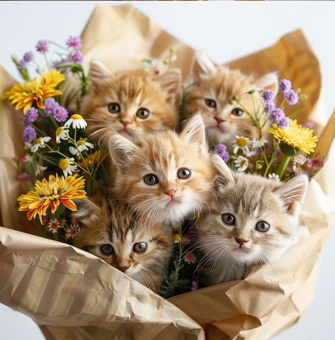 Kittens With Flowers, Kitten Bouquet, Cat Bouquet, Flowers And Cats, Bokeh Photography, Cat 2, Wishes Images, Itty Bitty, Cat Lover