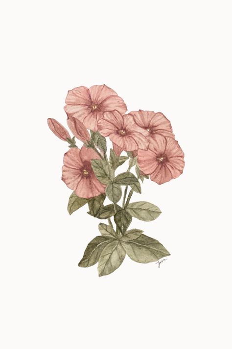 Dusty pink petunia bunch Petunia Tattoo Design, Petunia Tattoo Ideas, Petunia Tattoo Simple, Petunia Flower Drawing, Petunia Drawing, Petunia Flower Painting, Petunia Illustration, Petunia Tattoo, Black Pen Drawing