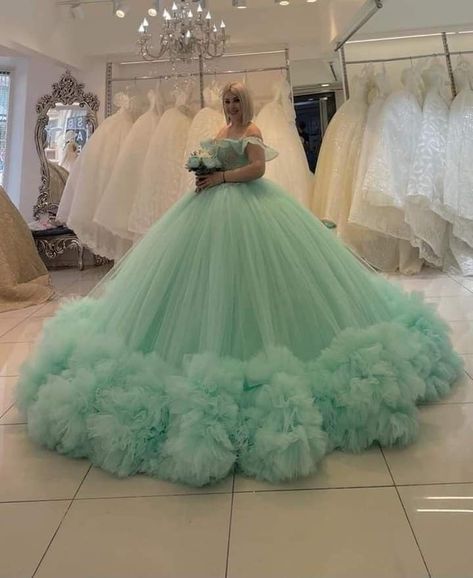 Ball Gown Sleeves, 15 Birthday Dresses, Ball Gown Sweet 16, Runway Fashion Dresses, Poofy Dresses, Poofy Dress, Sweet 16 Dress, Net Gowns, Dream Prom Dress